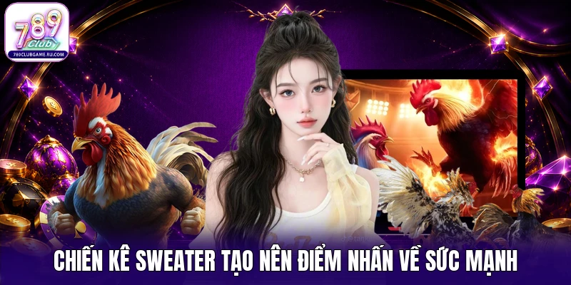 Chiến kê Sweater tạo nên điểm nhấn về sức mạnh