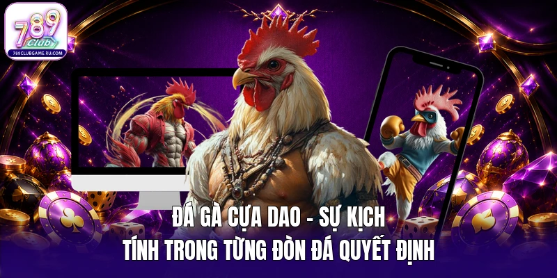 Đá gà cựa dao