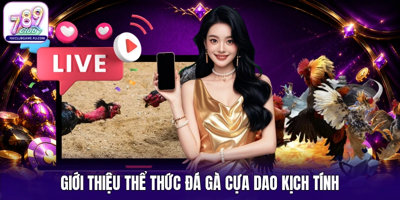 Giới thiệu thể thức đá gà cựa dao kịch tính