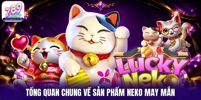 Tổng quan chung về sản phẩm Neko may mắn