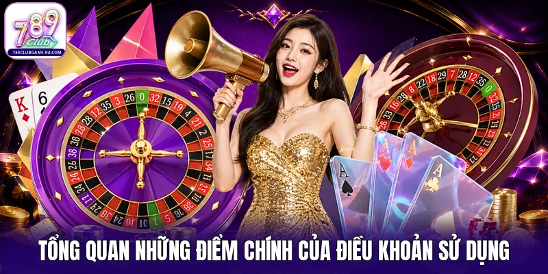 Tổng quan những điểm chính của điều khoản sử dụng